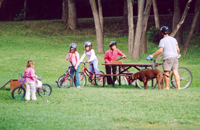 people on bikes in the park