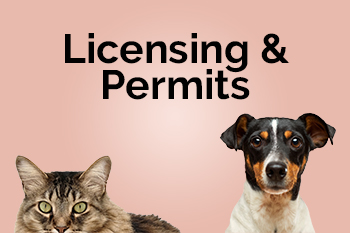 animal licensing