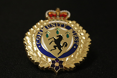 Decorative image - police badge