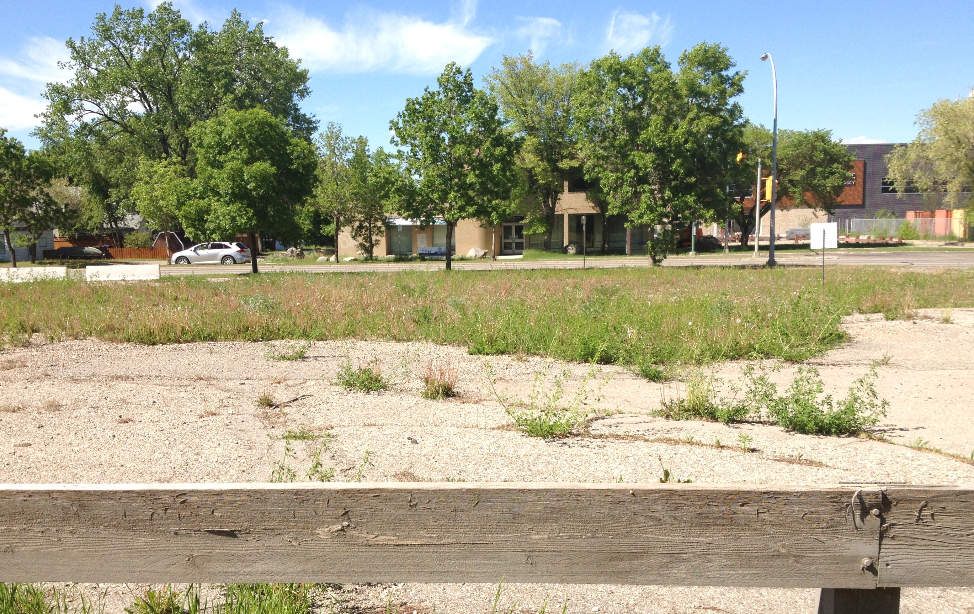 A field with very little grass growing