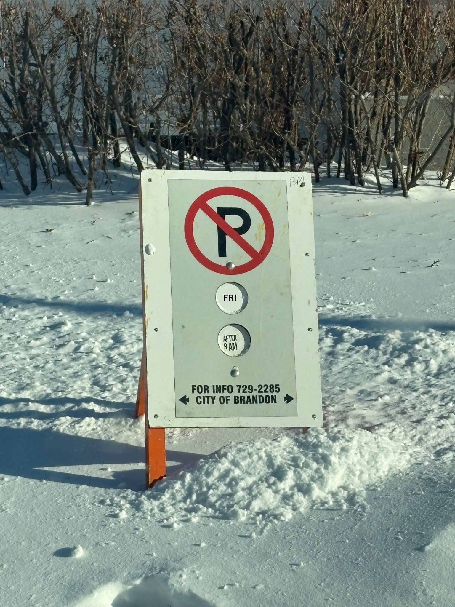 No Parking Signs