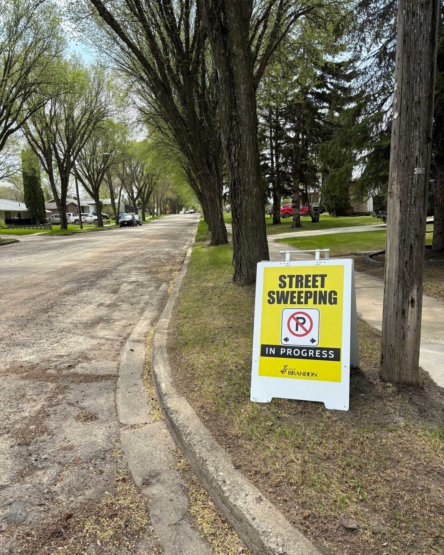 Street Sweeping in Progress sign.