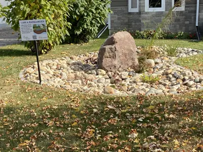 Rain Garden
