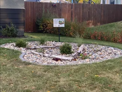 Rain Garden